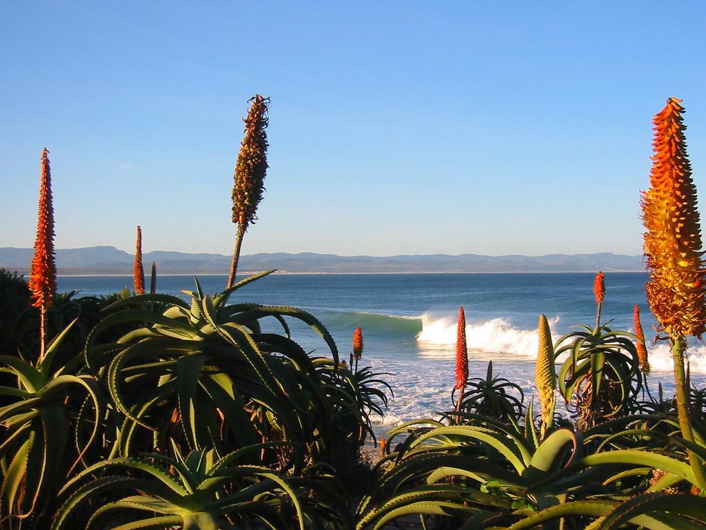Beach House Jeffreys Bay Ngoại thất bức ảnh